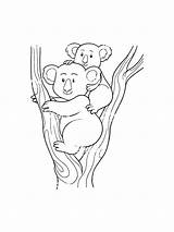 Koala coloring pages sketch template