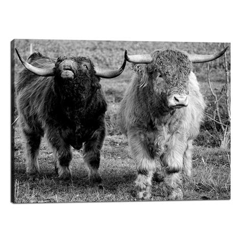 WELMECO Black and White Little Longhorn Highland Cow Picture Prints Animals Canvas Wall Decor ...