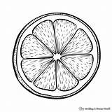 Lemon Coloring Pages  Free & Printable sketch template