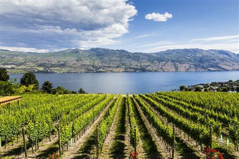 15 Best Things to Do in Kelowna (Brits-Columbia, Canada) - The Crazy Tourist