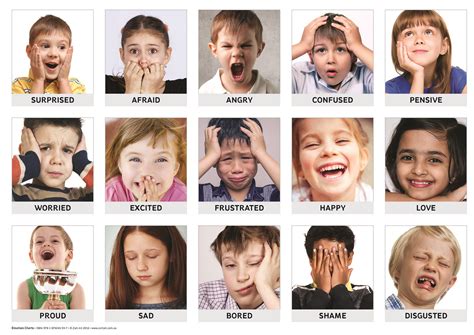 Emotions Art & Language Chart Pack for young children