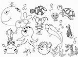 Sea Animals Coloring Pages  Nature & Seasons sketch template