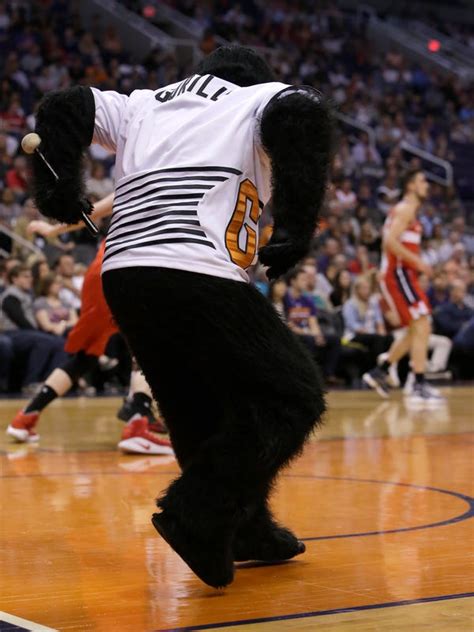 WATCH: Phoenix Suns Gorilla dives to Internet fame