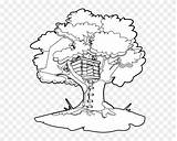 Magic Tree House Jack And Annie Coloring Pages sketch template