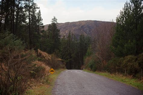 Hiking at Gougane Barra Forest Park – Tea and a camera