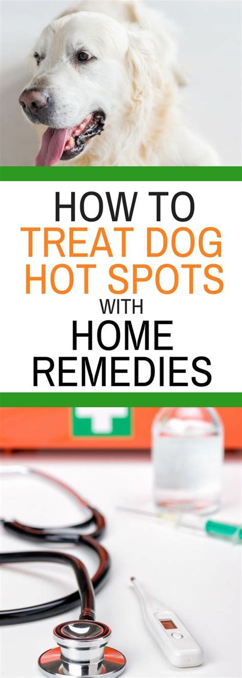 Famous Hot Spots On A Dog Home Remedies Ideas