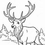 Elk Coloring Page  Pagescom sketch template