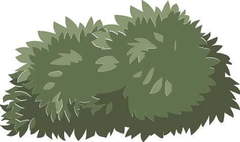 Green bush clipart. Free download transparent .PNG | Creazilla