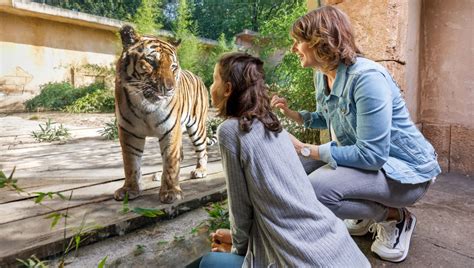 Erlebnis-Zoo Hannover: Preise für Eintritt bleiben 2023 stabil