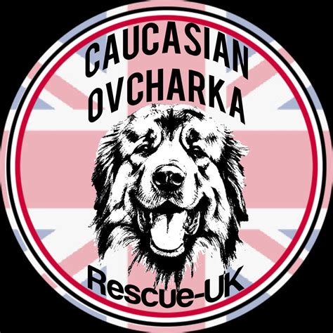 Caucasian Ovcharka Rescue Uk