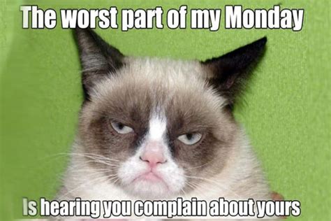 Grumpy Cat Thank You Meme