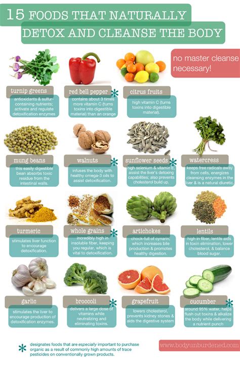 15 Foods that Detox Your Body | Dr. Sam Robbins