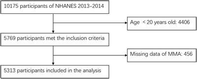 Frontiers | Increased serum methylmalonic acid levels were associated ...