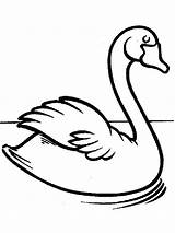 Realistic Swan Page Coloring Pages sketch template