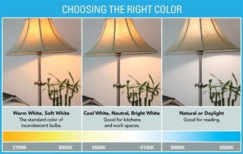 CFL Grow Lights: A Beginner's Guide to Growing with CFLs