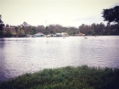 Kodaikanal Lake: A Manmade Lake with Natural Beauty and Charm in ...