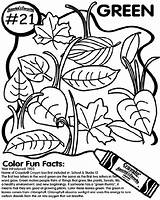 Green Beans Coloring Page sketch template