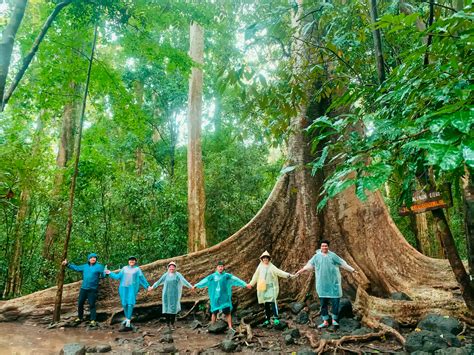 Bỏ túi kinh nghiệm du lịch rừng Nam Cát Tiên siêu dễ | Tour Du Lịch Giá Rẻ