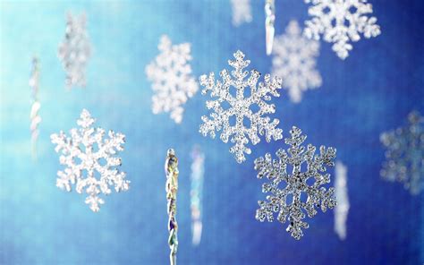 Wallpaper : white, sky, winter, branch, blue, frost, blossom, snowflakes, glitter, Freezing ...