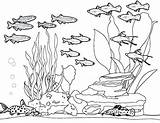 Aquarium Coloring Sheets Printable Pages sketch template