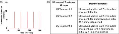 Ultrasound treatment regimes. (a) Ultrasound with an intensity of... | Download Scientific Diagram