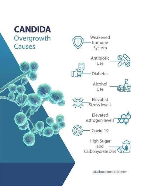 Candida Overgrowth - Causes and Treatment | Fallbrook Medical Center