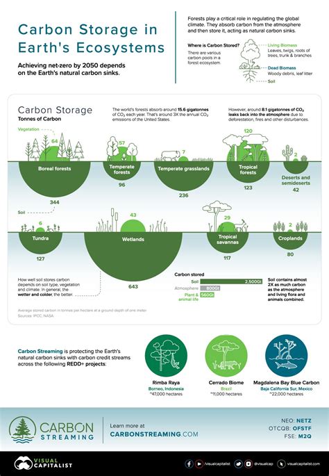 Visualizing Carbon Storage in Earth's Ecosystems Biomes Project, Carbon Sink, Carbon Cycle, Ghg ...