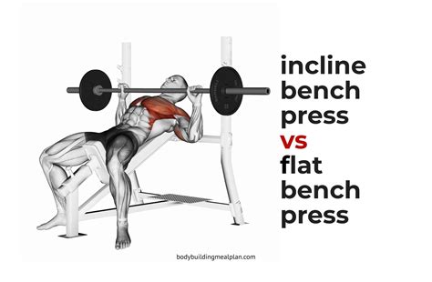 Incline Bench Press vs Flat Bench Press | Bench press, Incline bench, Bicep muscle