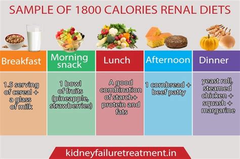 Nutritionist Renal Failure | Besto Blog