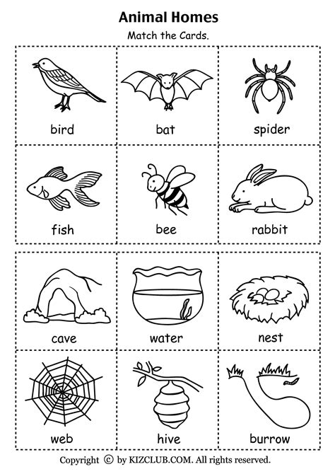 Animals And Their Habitat For Kindergarten