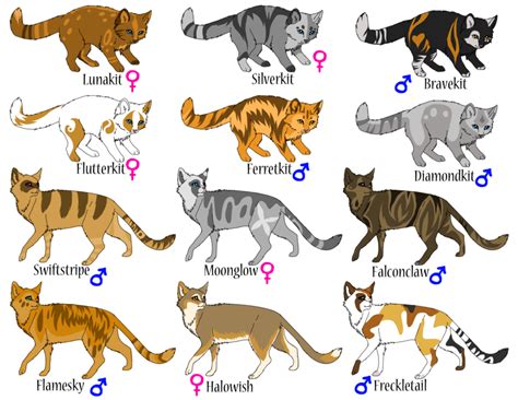 the different types of cats are depicted in this illustration, which ...