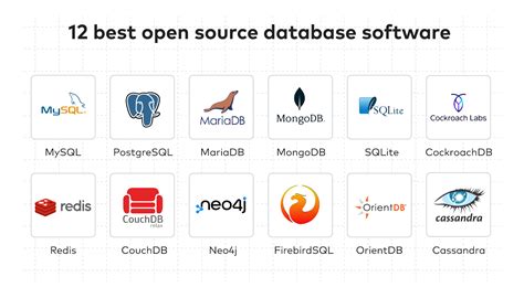 12 best open source database software in 2023