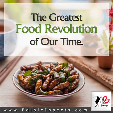 Why Eat Bugs? - Edible Insects