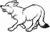 Free Wolf Coloring Pages sketch template