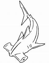 Cute Hammerhead Shark Coloring Page sketch template