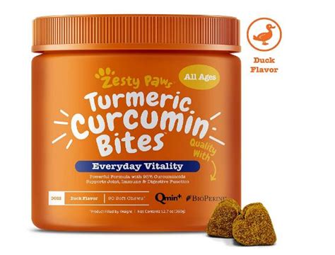 Best Turmeric Supplements for Dogs On Amazon - The Pet Well