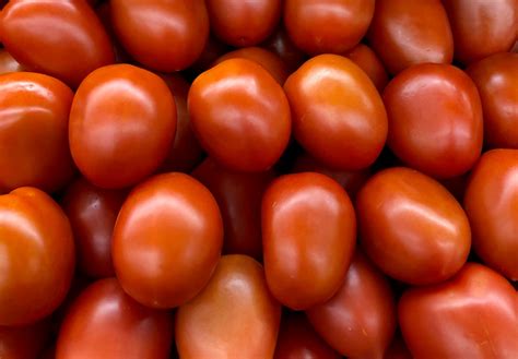 Mexican tomato exports to increase, USDA forecasts | The Packer