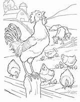 Mewarnai Hitam Rooster Kartun Chook Animals Animasi Diwarnai Prediction  sketch template