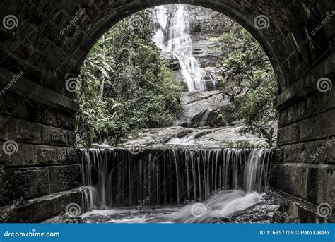 Rio De Janeiro Waterfall in Tijuca Forest Stock Image - Image of outdoor, forest: 116357709