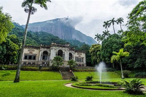 Tijuca Forest and Botanical Garden Expedition - Welcome to Rio De Janeiro, Home of the Christ ...