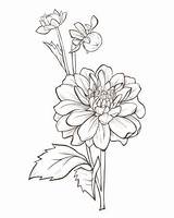 Zinnia Elegans Coloring Page Free Printable coloring Pages – Artofit sketch template
