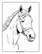 Horse Coloring Pages For Kids & Adults  World Of Printables sketch template