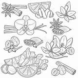 Spices Coloring Pages sketch template