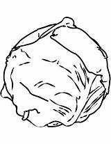Cabbage coloring Page  Free Printable Coloring Pages sketch template