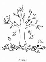 Collection Of Fall Tree Coloring Pages  Free Printable sketch template