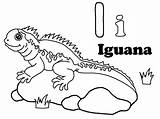 Free Printable Iguana Coloring Pages For Kids sketch template