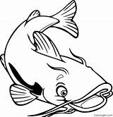 28 Free Printable Catfish Coloring Pages sketch template
