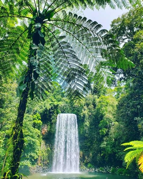 Australia on Instagram: “Welcome to the oasis that is @tropicalnorthqueensland’s # ...