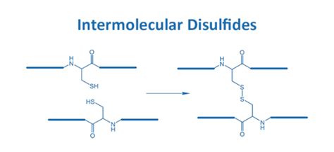 Disulfides: Biosyntan