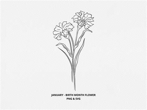 Birth Month Flowers SVG January Birthday Flower Png - Etsy Canada in 2023 | Birth month flowers ...